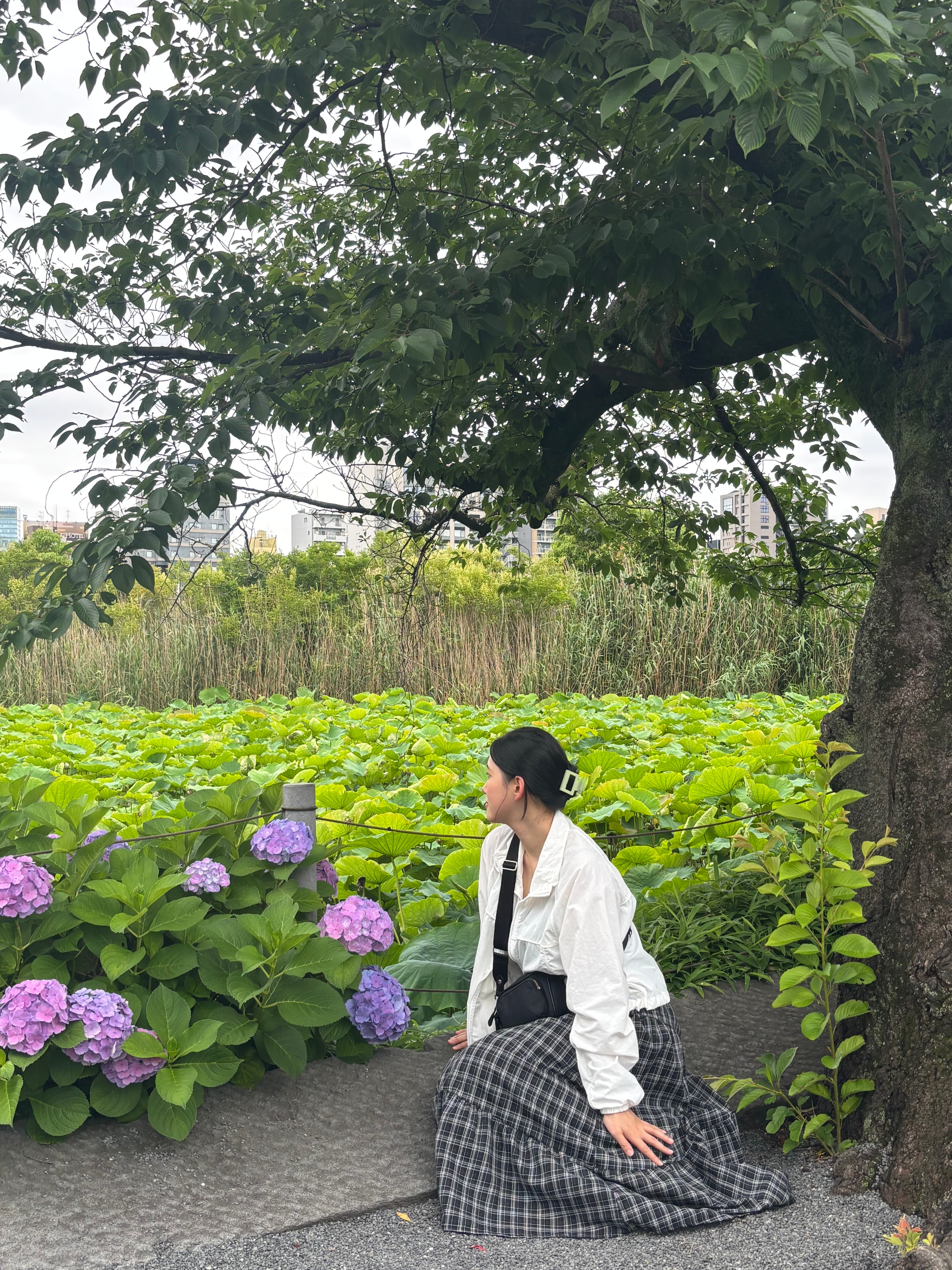 Reina sitting beside flowering hydrangeas